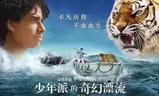 少年派漂流记在线观看,一场跨越生死的海洋之旅